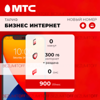 БИЗНЕС ИНТЕРНЕТ